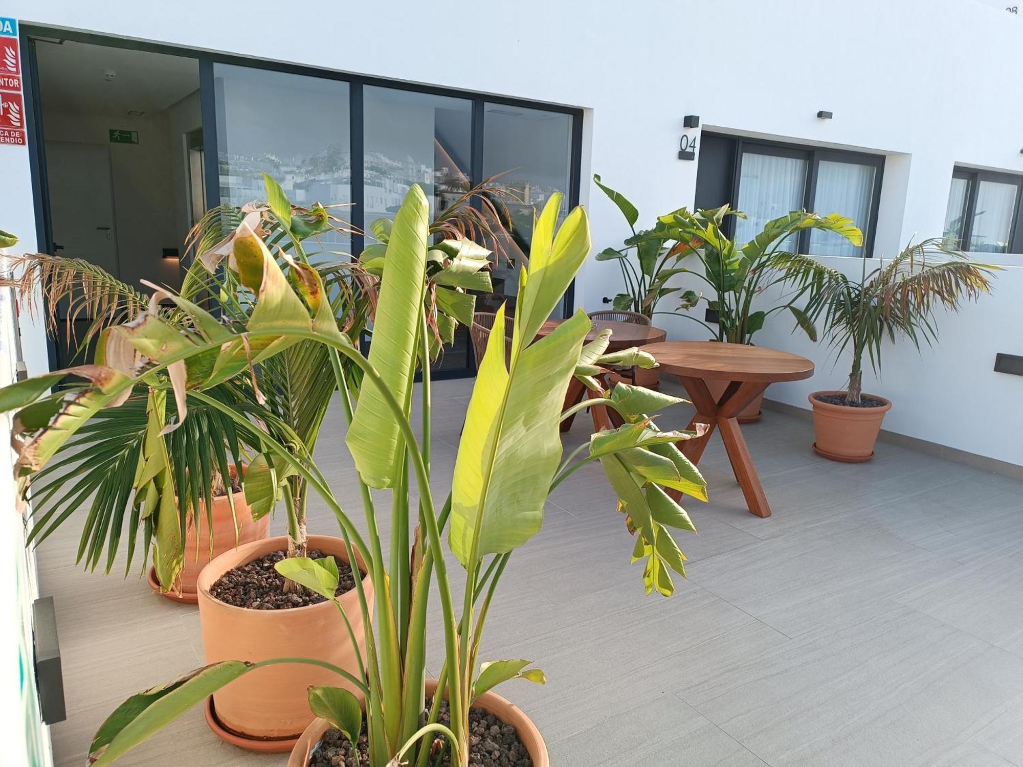 Hotel Apartamentos Hamus Конил-де-ла-Фронтера Екстериор снимка